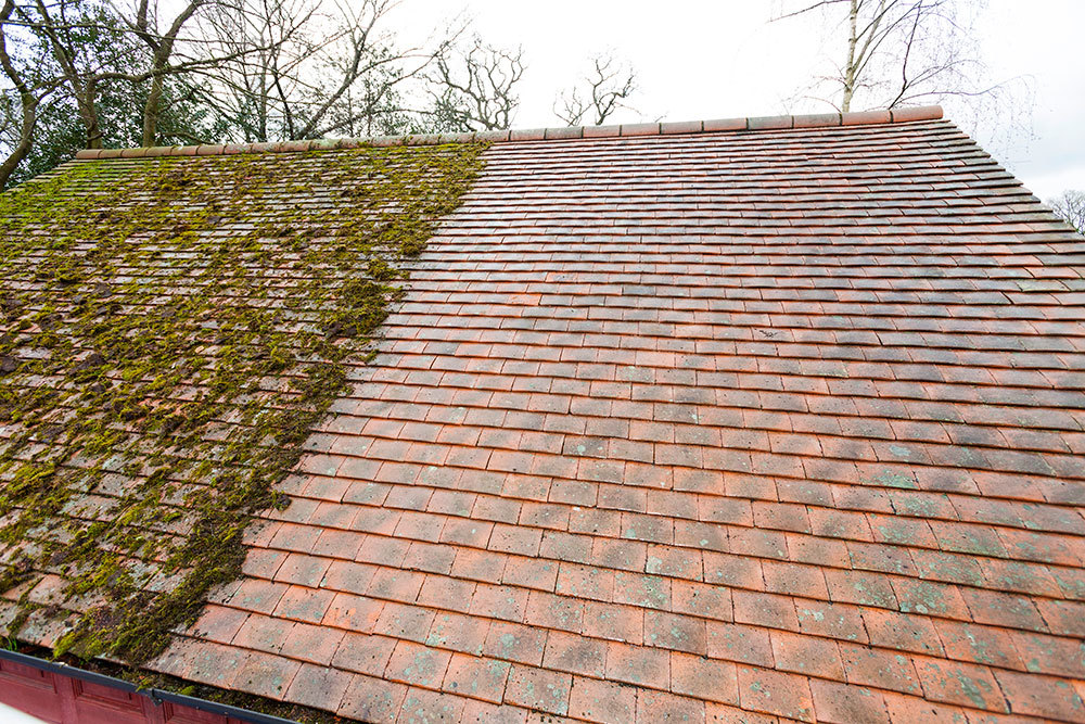 Roof repairs Bexley